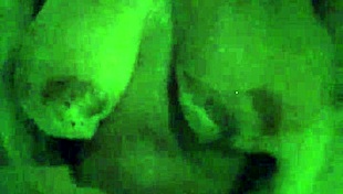 Relaxing Solo Bath Time