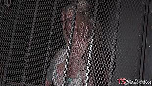 세 명의 트랜니 오브리 케이트, 레나 문, 케일리 콕스, 야하게 장난감 가지고 놀아. 재미 끝나지 않아!