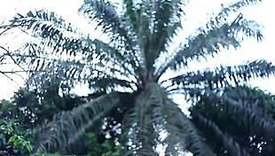 I ran naked when her husband came back, hiding from the unexpected return.