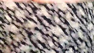 mix reggaeton 2 features teen dancing on webcam