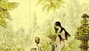 Vintage illustrations capturing timeless allure