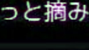 casual story of celesfonia 4 hentai game anime adventure