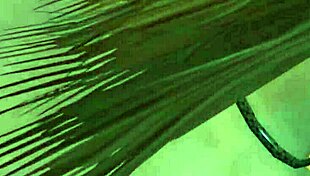 Gta 5 First Person Encounter