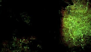 vintage erotic illustration showcasing antique anime hentai