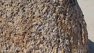 Two lesbians naked on the beach kissing passionately.