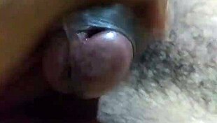 old couple's wife gets ravaged by bull in cuckold fantasy