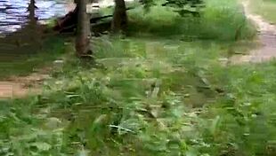 Trans Boy Barebacks Strangers in Forest