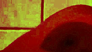 hey gaia monroe, showering alone today?