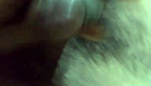 old couple's wife gets ravaged by bull in cuckold fantasy