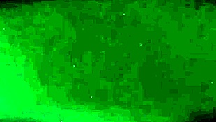 I watch her use her mouth and tongue for blowjob