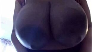 Huge black tits and ass.