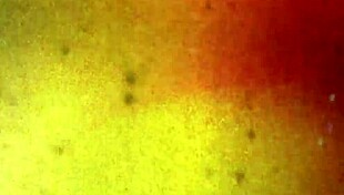 Alizay Angel gets deep anal penetration