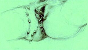 Discover Vintage Anime Erotic Drawings From Retro Hentai Collections