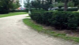 vrpussyvision com brunette in hardcore action with fingering and blowjob