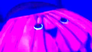 Twerking the Pumpkin with Passion