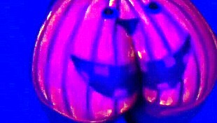 Twerking the Pumpkin with Passion