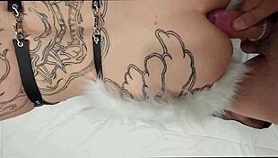 Hot shemale bunny in hardcore anal action, damn hot!
