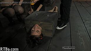 Lusty Facial Torment For Angel 😈