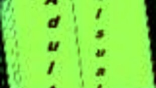 My Bully Is My Lover 10