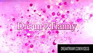 Dream Tranny - Shemales Passionately Mounting Dildos Compilation Part 11