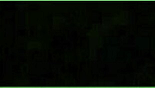 Summer Colored Fragile Thing Af 1