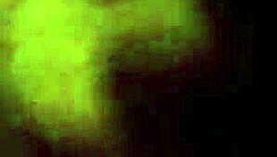 paparipskins gives a handjob to my monster cock in the shower, getting it wet and horny