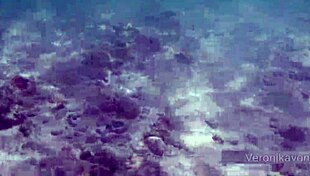 Public Exhibitionist German Teen Veronikavonk Flashes Big Boobs On Beach