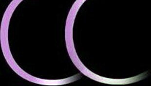 stella and emily lick pussy and finger each other