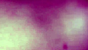 We Indian couples went hardcore, banging pussy on our wild honeymoon ride.