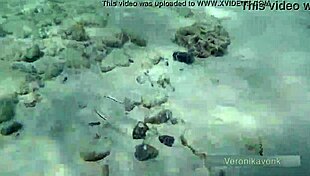 Public Exhibitionist German Teen Veronikavonk Flashes Big Boobs On Beach