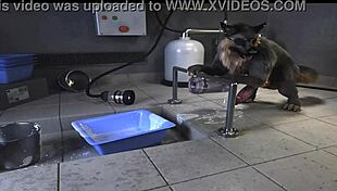 horse compilation getting fucked by machine 😈