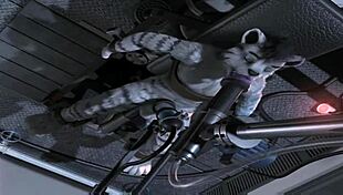 horse compilation getting fucked by machine 😈