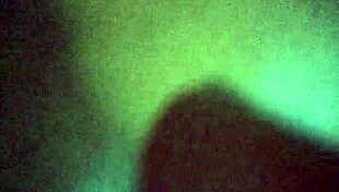 quarantine fun with an oily horny brownie