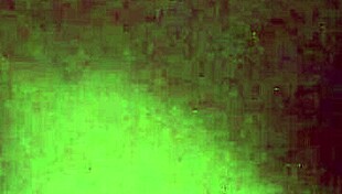 quarantine fun with an oily horny brownie