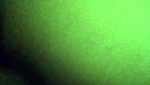 quarantine fun with an oily horny brownie