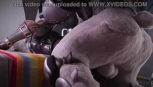 Compilation of Random Furry Animations