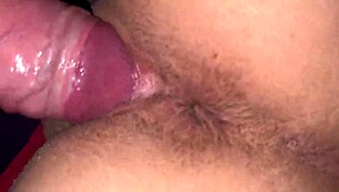 dan and charlie explore bear's monster cock in wet shaved pussy scene