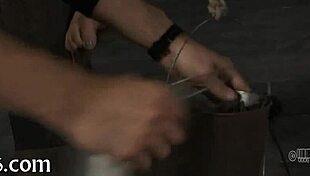 B of babes bottom in a casual narrative