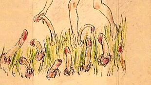 I Love Vintage Illustrations