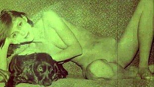 Vintage Taboo Pussy And Pooch!