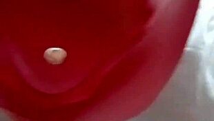 Called Wife's Friend for Intense Oral Pleasure