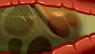 Compilation of Random Furry Animations