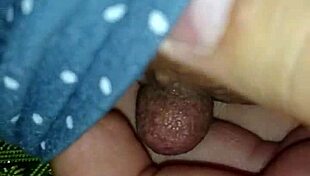 Intriguing Tale of My Japanese Wife's Cultural Adventures