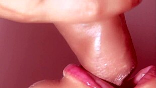 Du burde vide mine forældre er ude af byen, så kom over for noget sjov