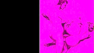 Vintage Illustration Evokes Erotic Emotions