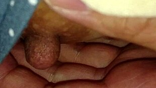 Intriguing Tale of My Japanese Wife's Cultural Adventures