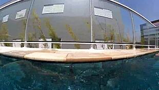 Married woman fucks unknown employee in pool 😏