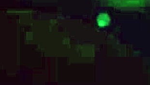 Gay erotic teacher gives instructions on love and sex.