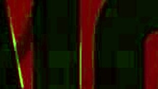 fudendo o cuzinho da minha vizinha