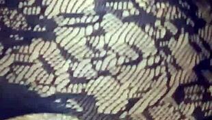 i lick her pussy close up